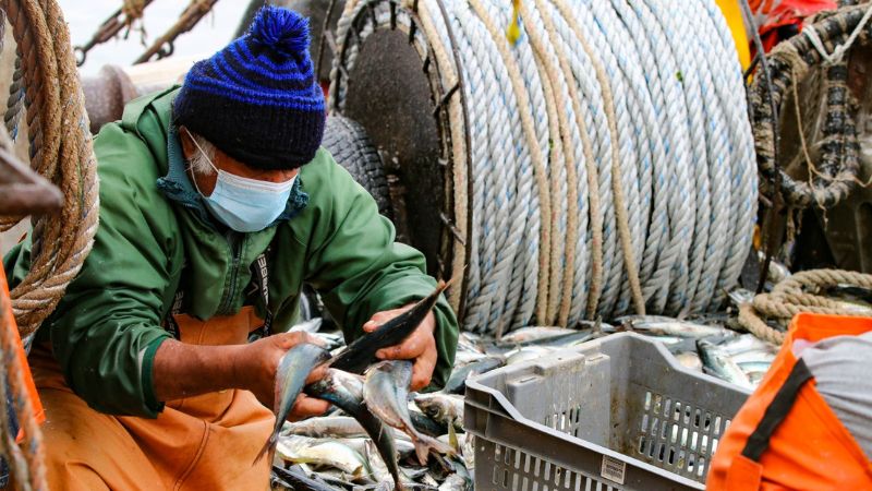 40% del pescado que comemos lo pescan las mujeres, según la FAO