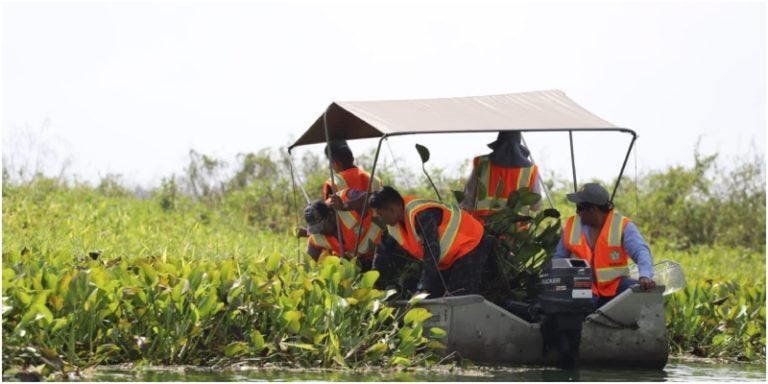 Jornada de Limpieza, Lago de Yojoa, jornada de rescate y limpieza, limpian en el Lago de Yojoa