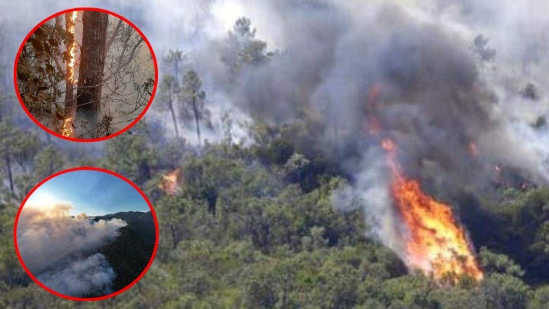 incendio forestal en el Parque Celaque