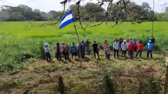 tierras incautadas OABI Gobierno