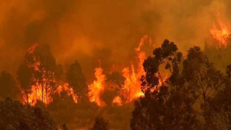 Ola de calor en Chile