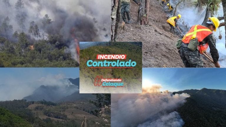 Controlan incendio Celaque