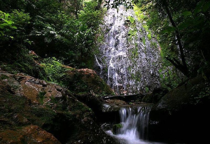 Parque La Tigra Honduras