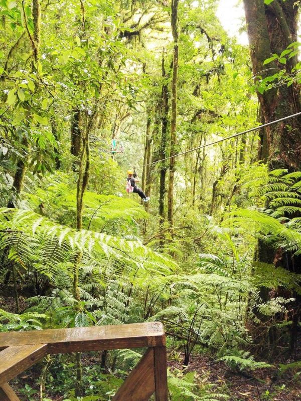 Parque La Tigra Honduras