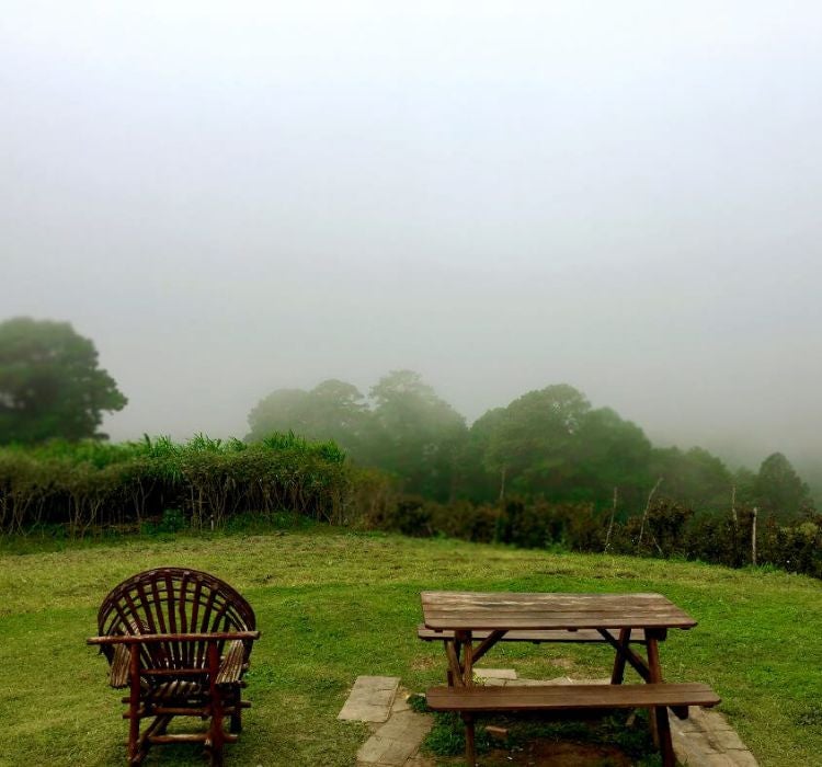 Finca La Cantadora Honduras