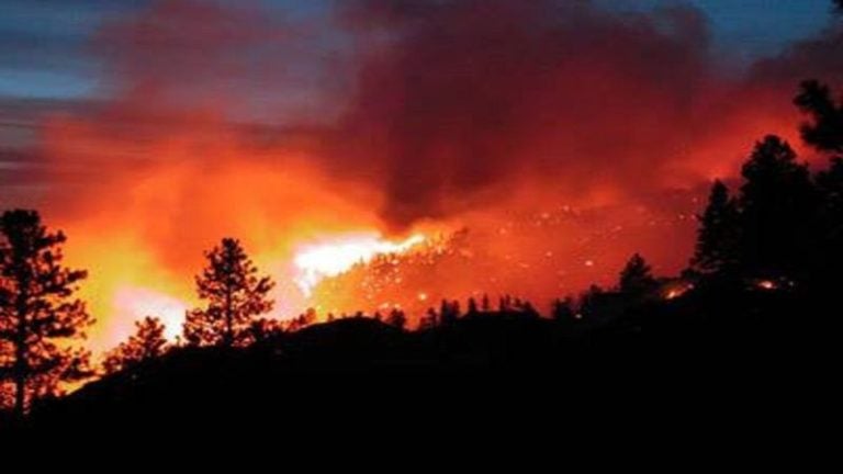 hectáreas afectas por incendio en La Tigra