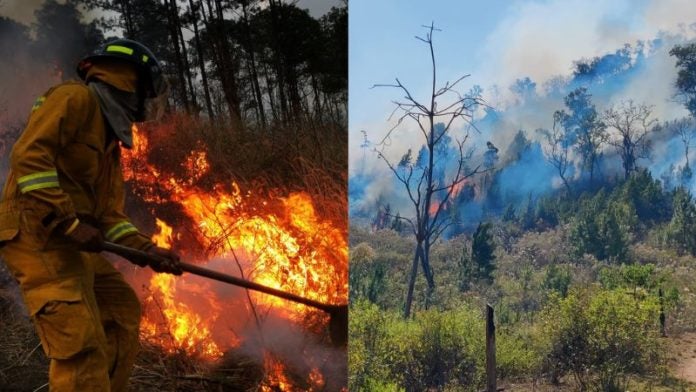 incendios en Honduras