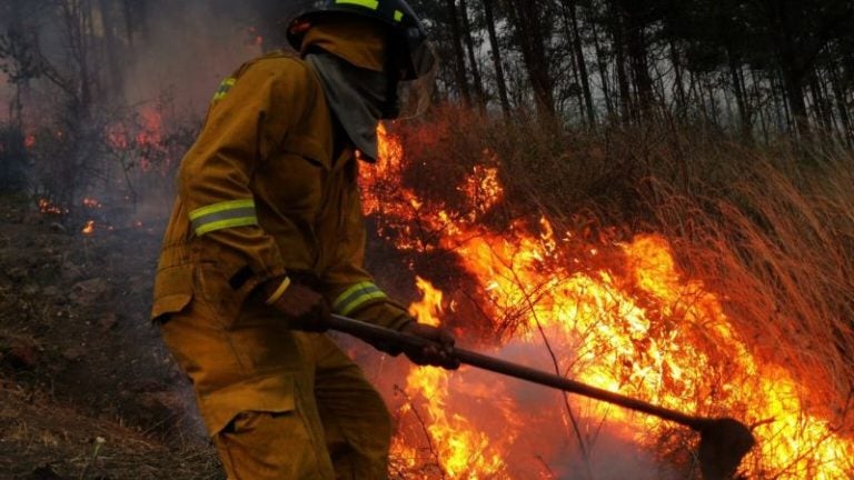 Desastre ambiental: Incendios consumen 37,000 hectáreas de bosque