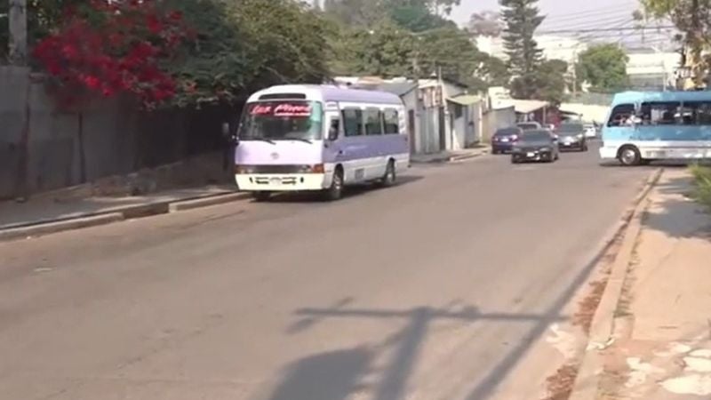Buses de Los Pinos