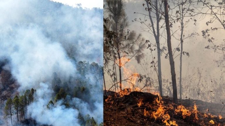 Incendios en Santa Lucía