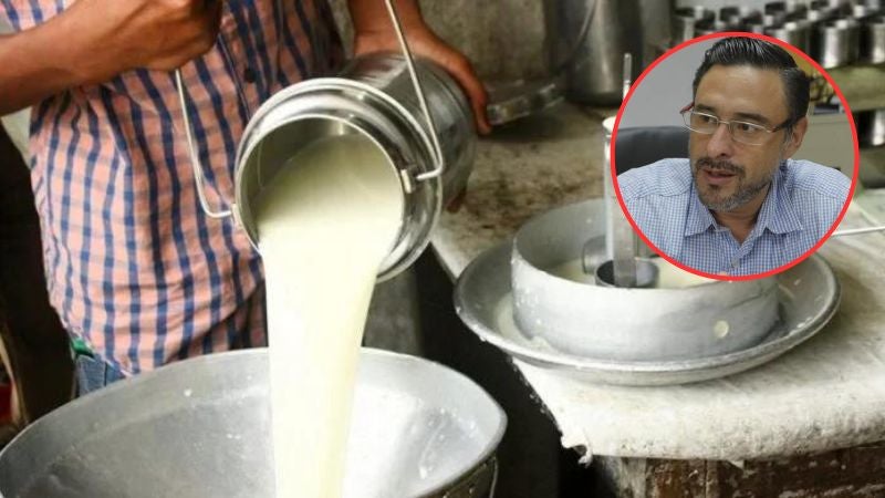 Reducción producción leche sequía