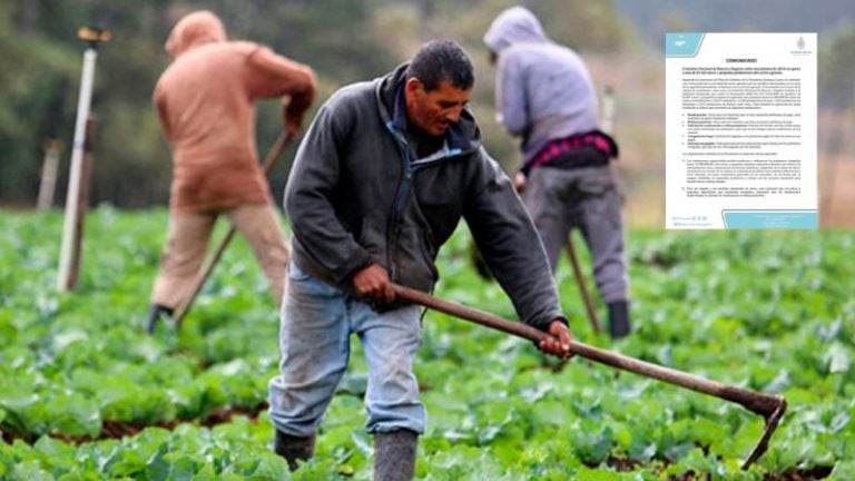 CNBS emite mecanismos de alivio para unos 63 mil productores