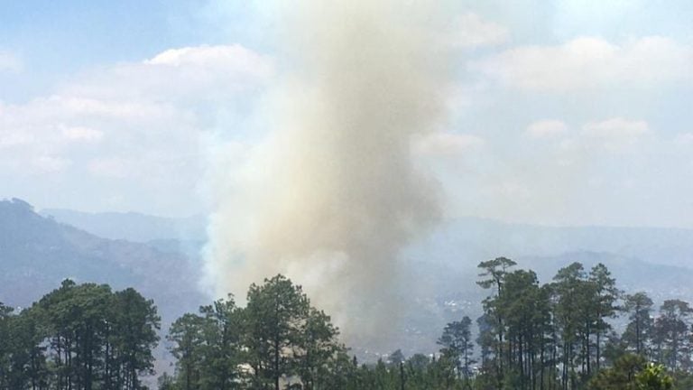 Se reactiva incendio forestal en la zona 12 de El Hatillo