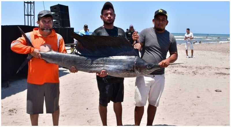 Festival del Pescado (4)