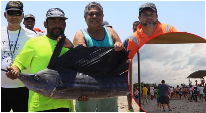 Festival del Pescado