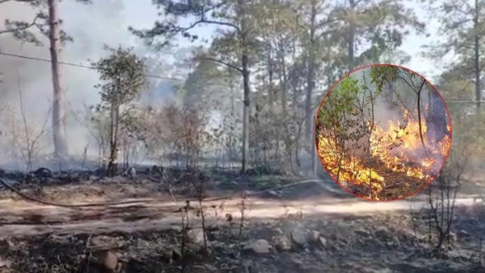 Incendio forestal aldea El Volcán