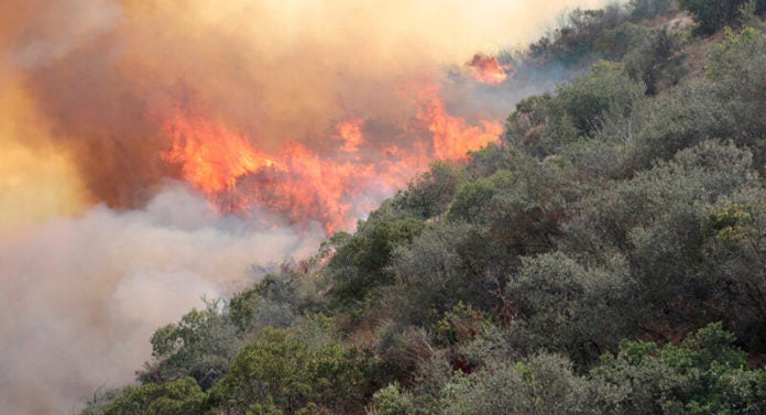 Incendios forestales