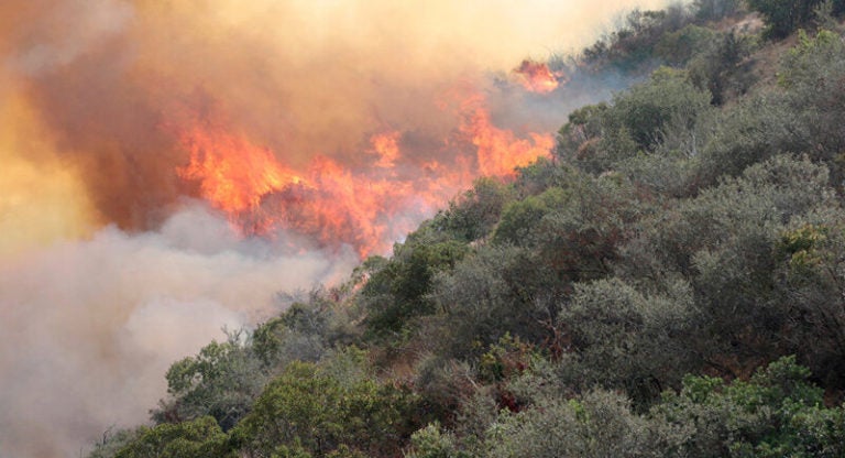 Incendios forestales