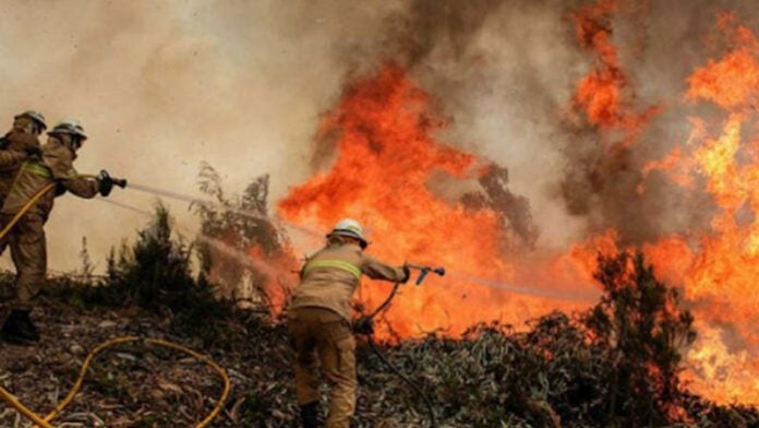 hectáreas afectadas incendios