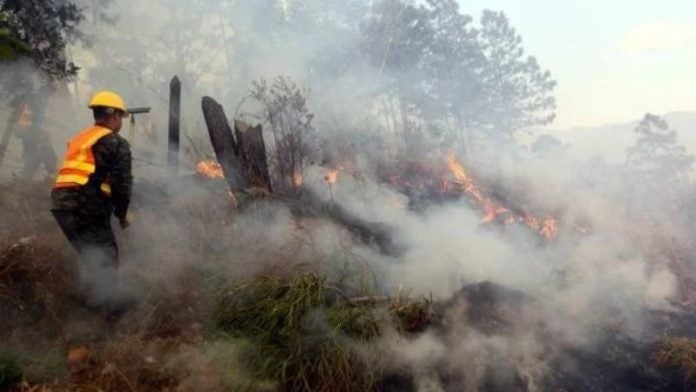 responsables incendio El Coyolar