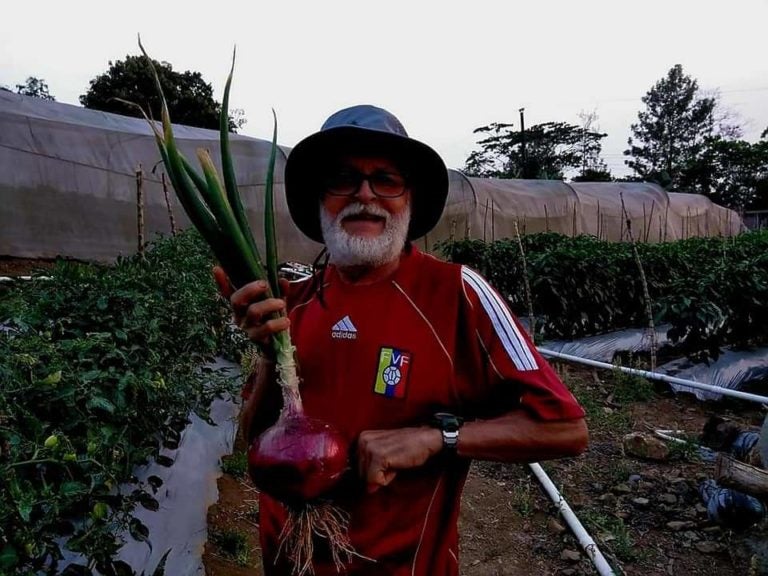 ¿Récord? Hondureño cultiva una cebolla de 3 libras en Santa Bárbara