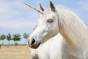 existieron_los_unicornios_25459_