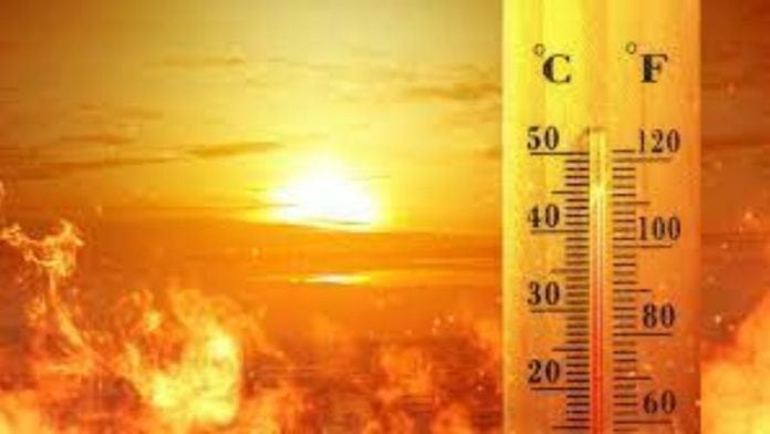 Curiosa: Estos son los países con mayor riesgo de daños por olas de calor