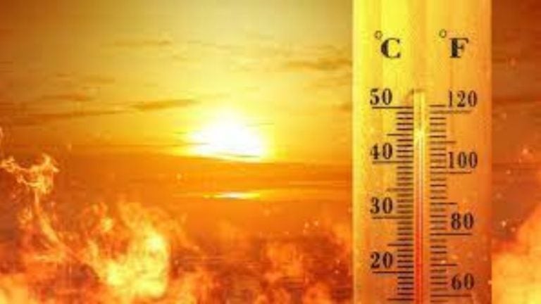 Curiosa: Estos son los países con mayor riesgo de daños por olas de calor