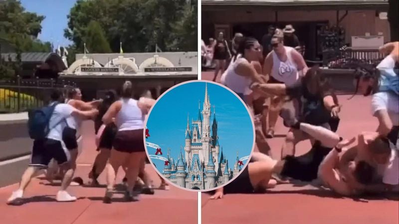 familias se pelean en Disney