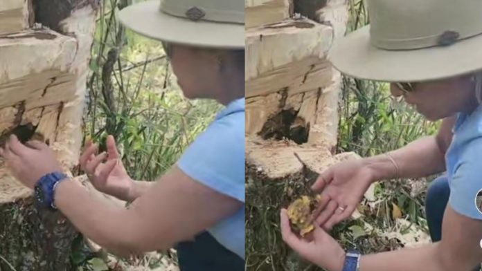 Marlene Alvarenga en el campo