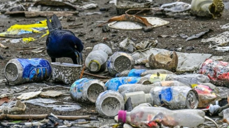 Nuevas negociaciones en París para un tratado contra la contaminación plástica