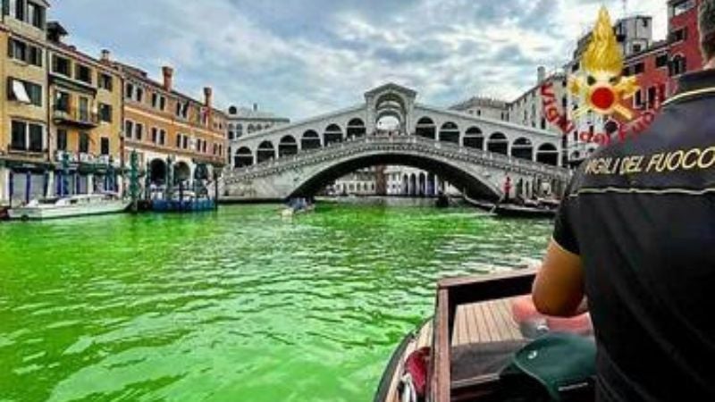 Las aguas del Gran Canal de Venecia se tiñen de verde fosforescente
