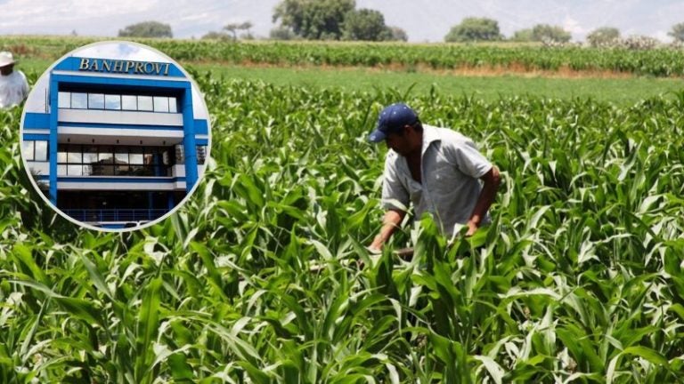 BANHPROVI para el sector agroalimentario