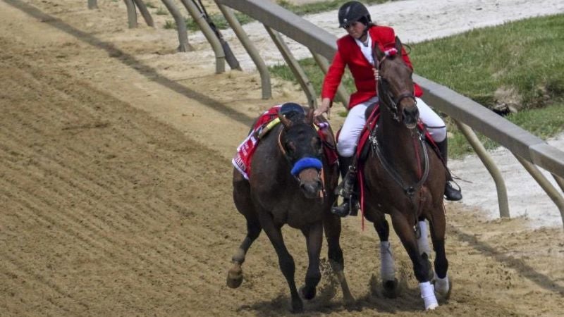 Un caballo sacrificado y un jinete hospitalizado en evento Preakness