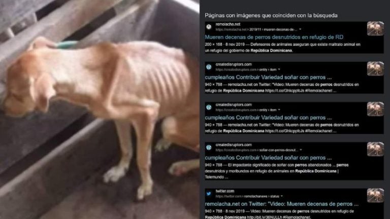 Denuncian a sujeto por fingir rescate de un perro y pedir dinero