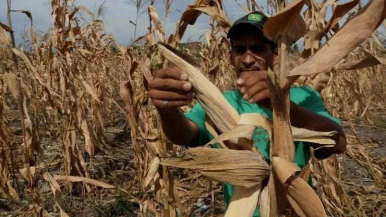 Anuncian condiciones de "El niño fuerte" a partir de septiembre