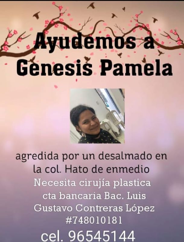 Genesis Pamela