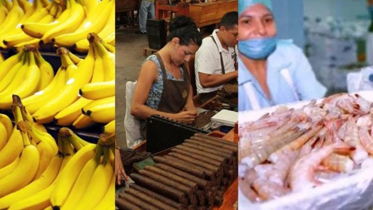 Honduras exportará banano, camarones y tabaco a China