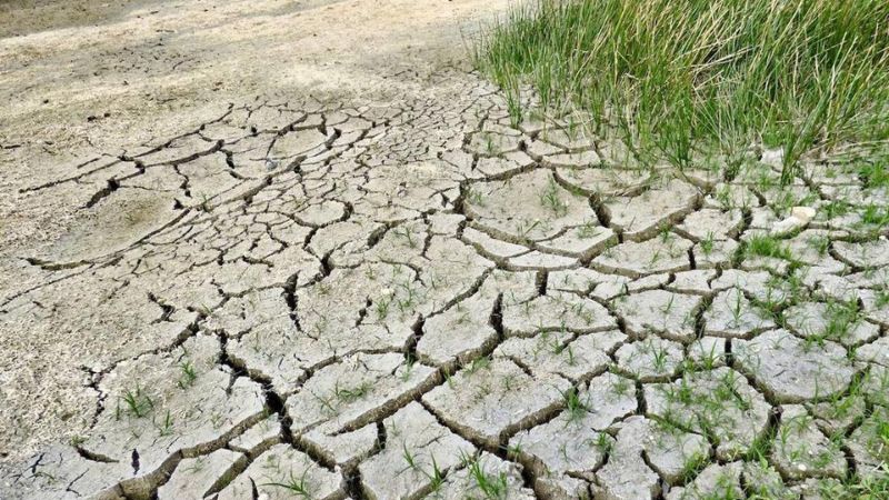 Sequía abastecimiento granos básicos