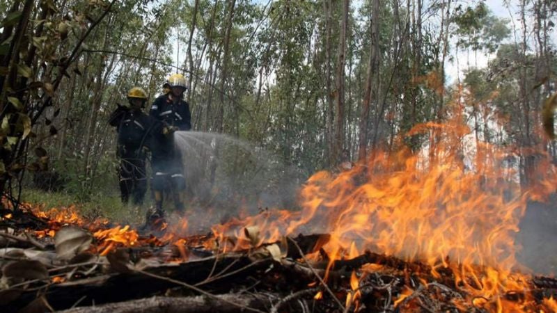 incendios afectación hectáreas 2023