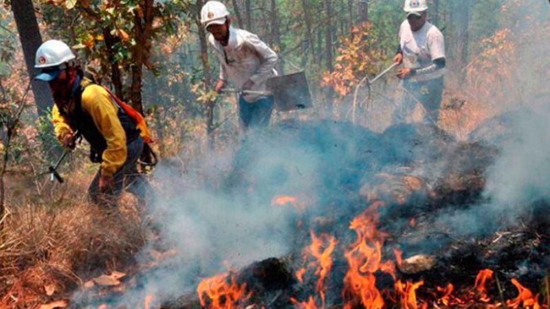 incendios afectación hectáreas 2023