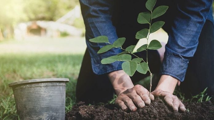 Proponen reos plan de reforestación 