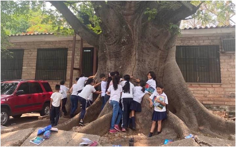 niños se despiden de árbol