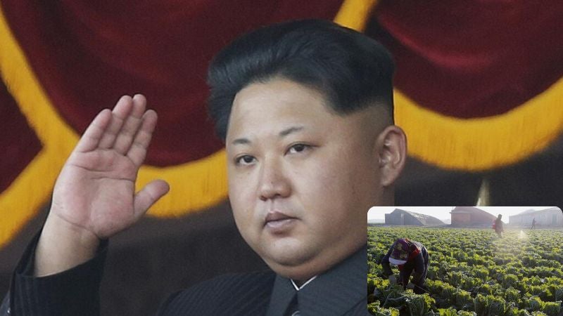 Corea del Norte manda a sus funcionarios al campo para combatir la hambruna