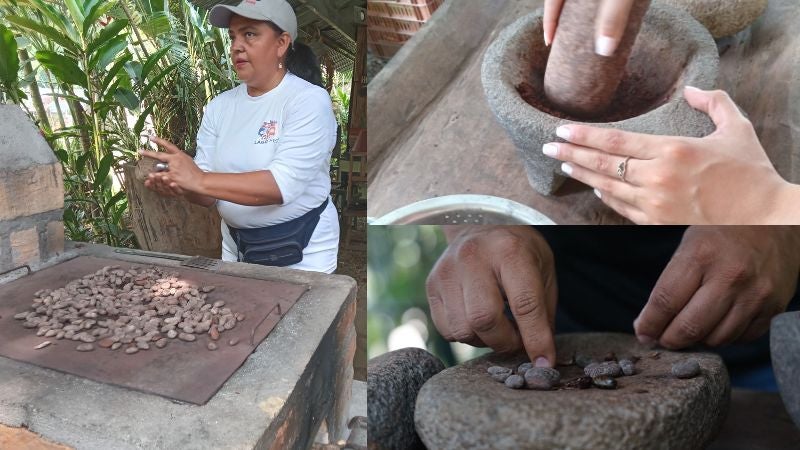 Proceso del cacao