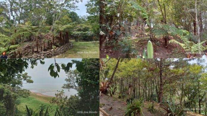 Jardín botánico Honduyate