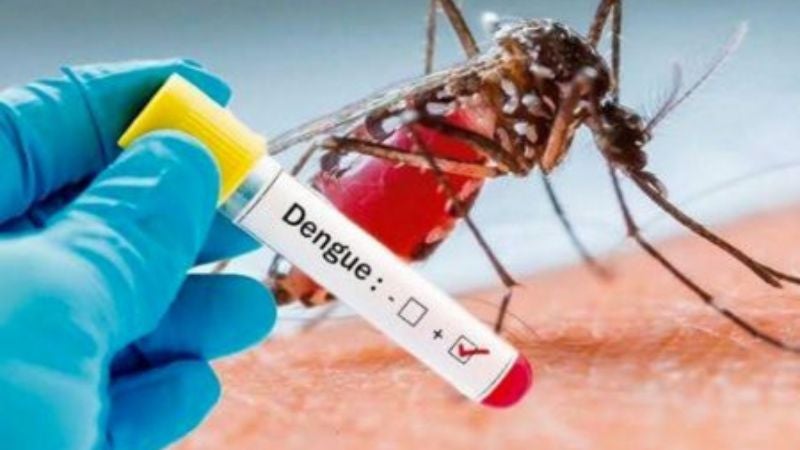 Menor de 16 años segunda víctima mortal por dengue