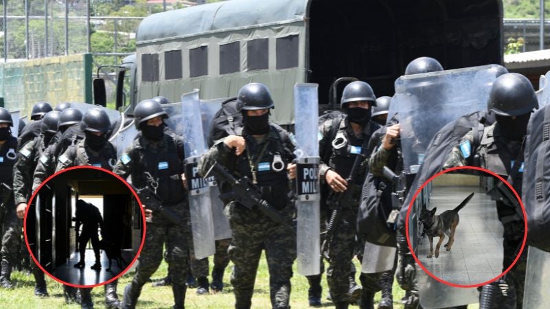 Militares y perros, la esperanza para pacificar cárceles en Honduras