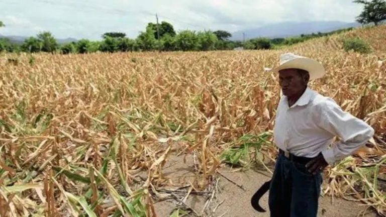 Instan a prepararse para los efectos de la canícula extendida