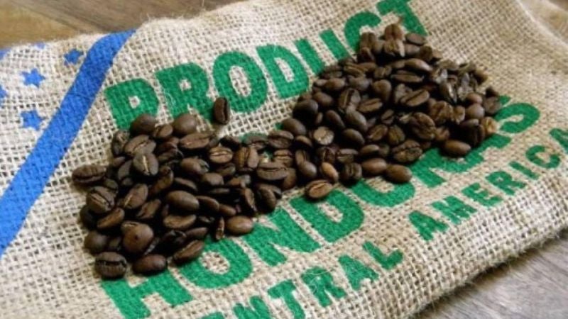 Pagan 62 dólares por una libra de café hondureño especial en una subasta internacional